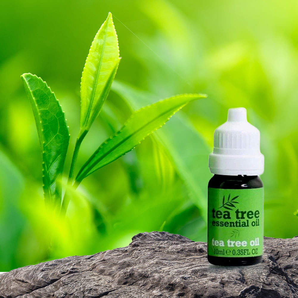 Sérum Tea Tree Oil